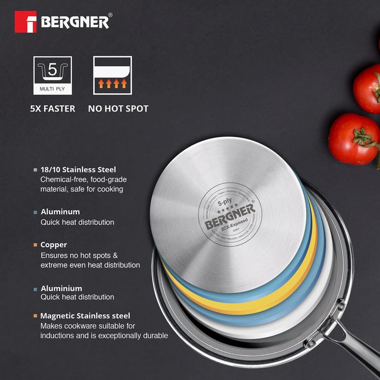 BERGNER Argent 5cx Silver Stainless Steel Frying Pan - 20cm