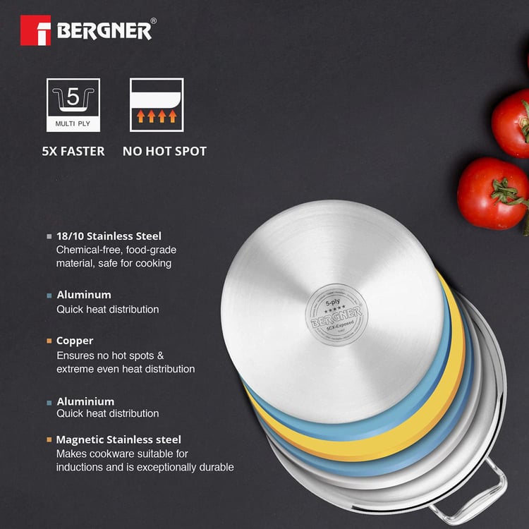 BERGNER Argent 5cx Silver Solid Stainless Steel Casserole with Lid - 4.9l