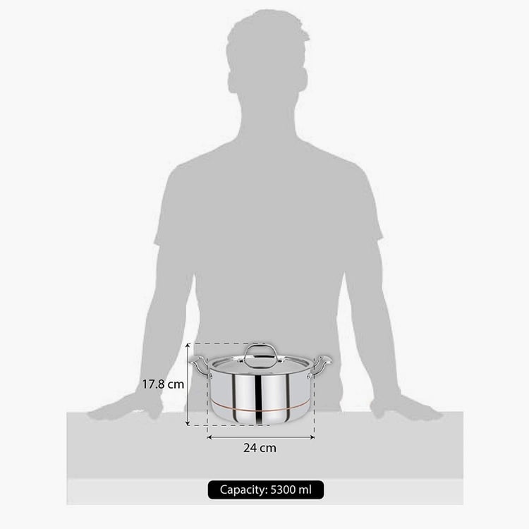 BERGNER Argent 5cx Silver Solid Stainless Steel Casserole with Lid - 4.9l