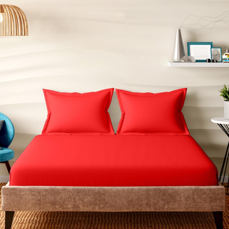 PORTICO Shades Red Cotton King Fitted Bedsheet Set - 182x198cm - 3Pcs