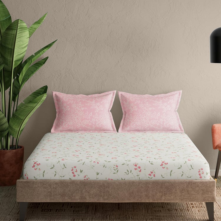 PORTICO Whispering Tales Multicolour Cotton Super King Bedsheet Set - 274x274cm - 3Pcs