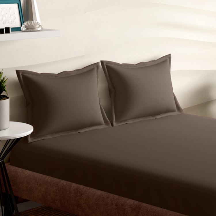 PORTICO Satin Premium Brown Cotton Super King Bedsheet Set - 274x274cm - 3Pcs