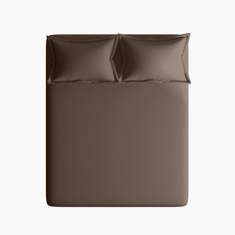 PORTICO Satin Premium Brown Cotton Super King Bedsheet Set - 274x274cm - 3Pcs