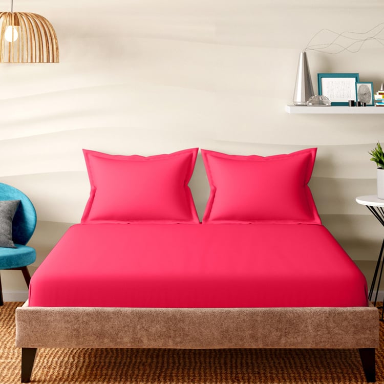 PORTICO Shades Pink Cotton Queen Bedsheet Set - 224x254cm - 3Pcs