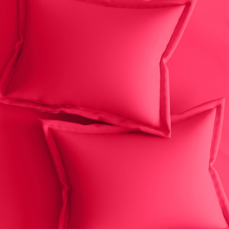 PORTICO Shades Pink Solid Cotton Super King Bedsheet Set - 274x274cm - 3Pcs