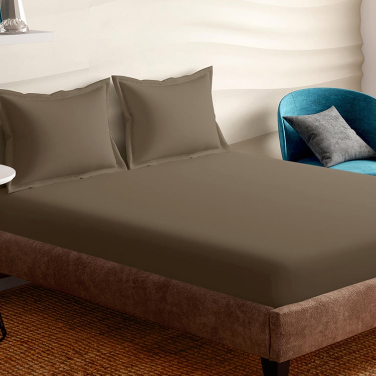 PORTICO Shades Brown Solid Cotton Super King Bedsheet Set - 274x274cm - 3Pcs