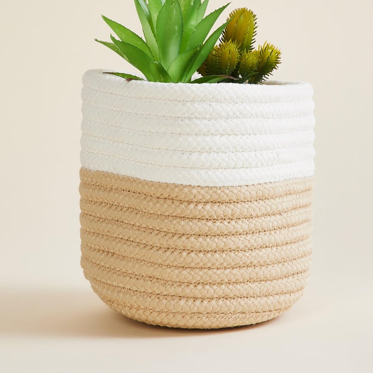 Corsica Eden Braided Planter