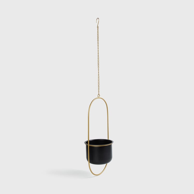 Valencia Metal Hanging Planter