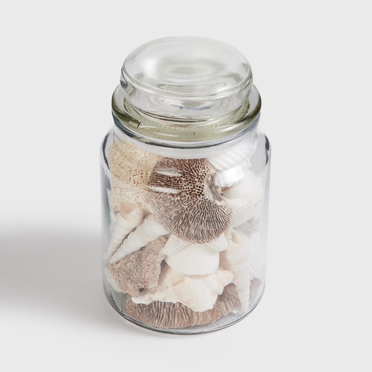 Corsica Glass Decorative Jar with Shells