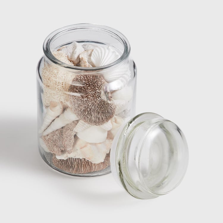 Corsica Glass Decorative Jar with Shells