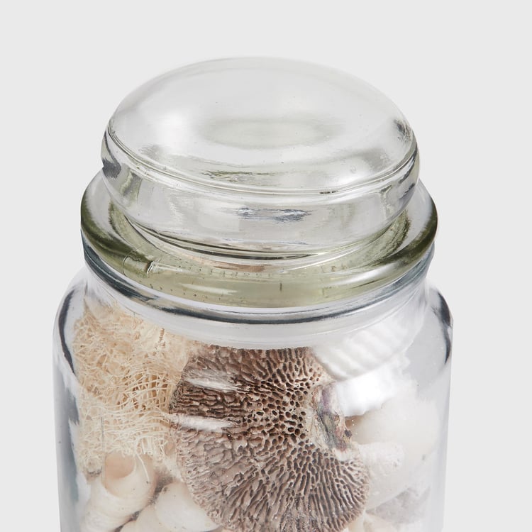 Corsica Glass Decorative Jar with Shells