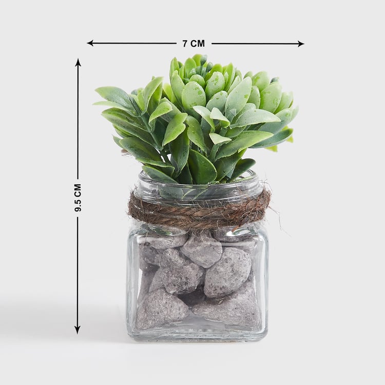 Corsica Eden Artificial Succulent in Glass Jar