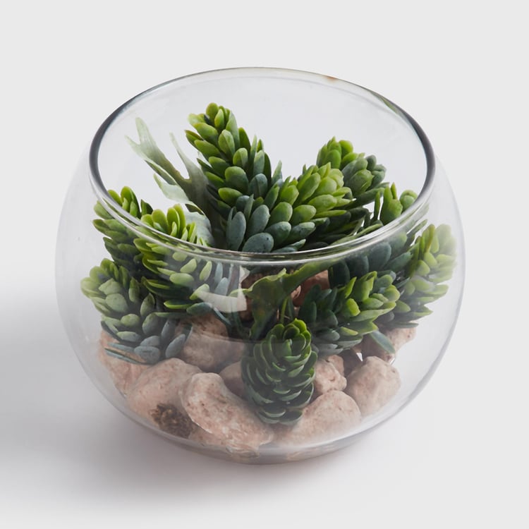 Corsica Eden Artificial Succulent in Glass Jar