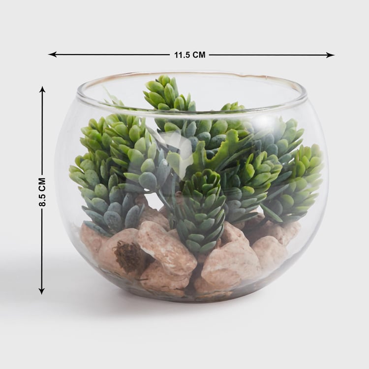 Corsica Eden Artificial Succulent in Glass Jar