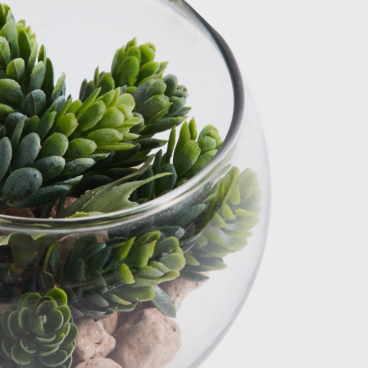 Corsica Eden Artificial Succulent in Glass Jar