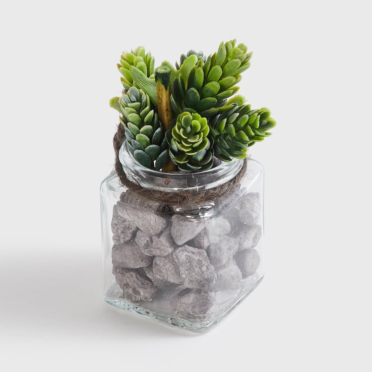 Corsica Eden Artificial Plant in Glass Jar