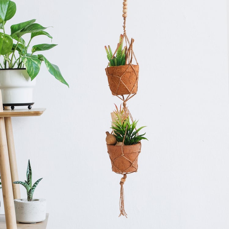 Corsica Eden Artificial Succulent in Rope Net Hanger