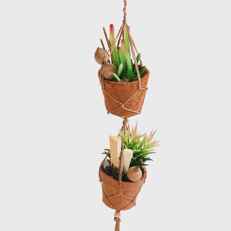 Corsica Eden Artificial Succulent in Rope Net Hanger