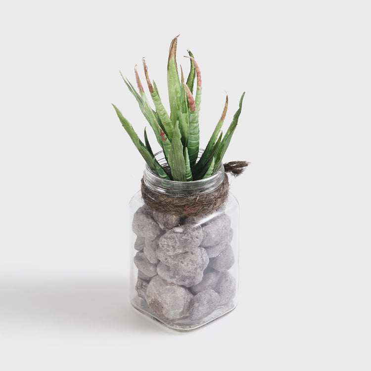 Corsica Eden Artificial Succulent in Glass Jar