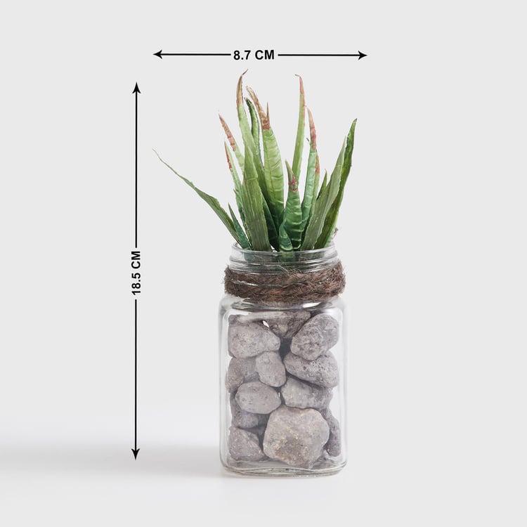 Corsica Eden Artificial Succulent in Glass Jar