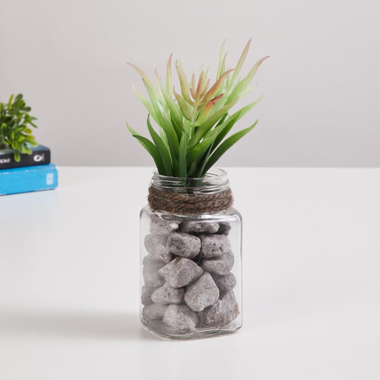 Corsica Eden Artificial Succulent in Glass Jar