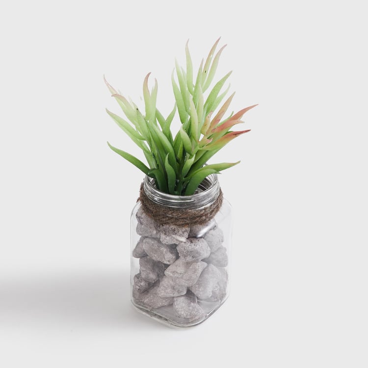 Corsica Eden Artificial Succulent in Glass Jar