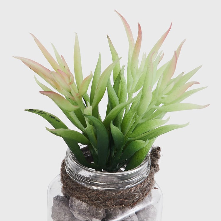 Corsica Eden Artificial Succulent in Glass Jar