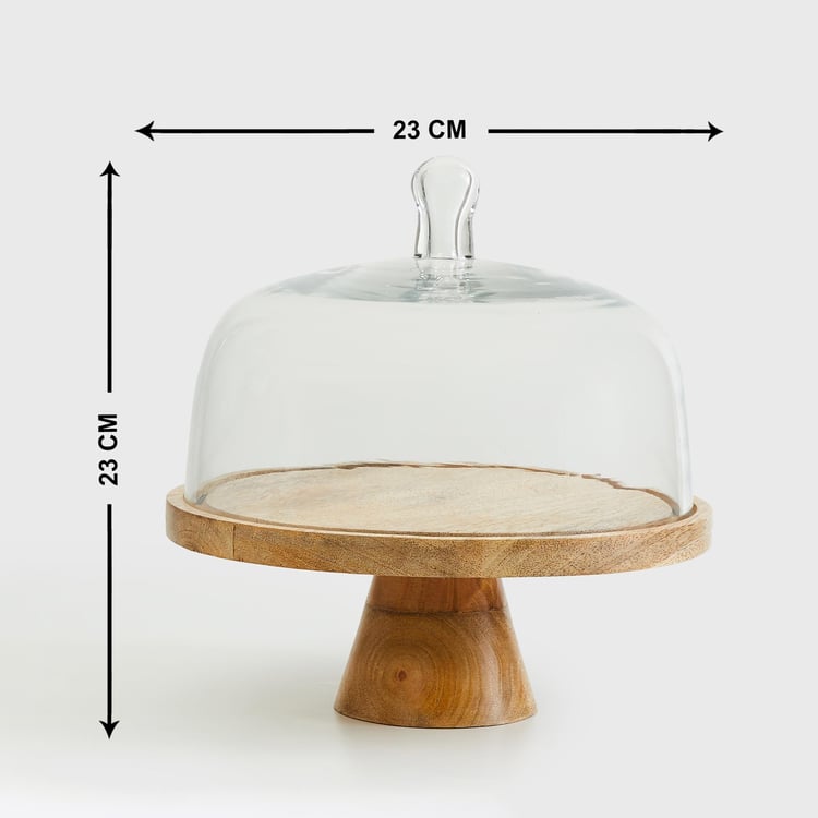 Mirage Glass Cloche with Wood Stand
