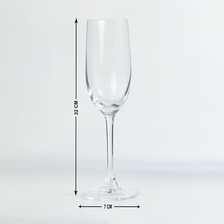 Wexford Firenze Champagne Flute Glass - 260ml