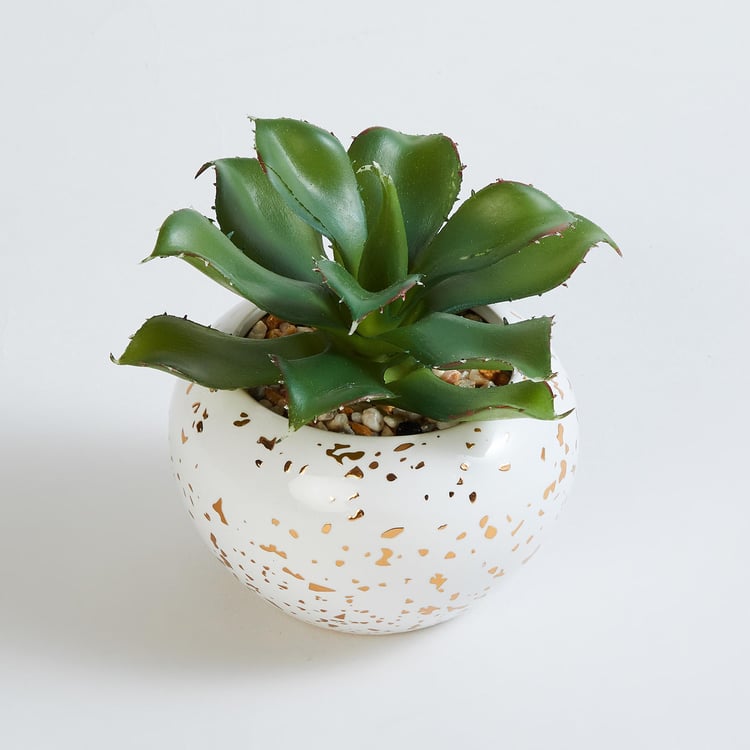 Eternity Artificial Plant in Ceramic Pot