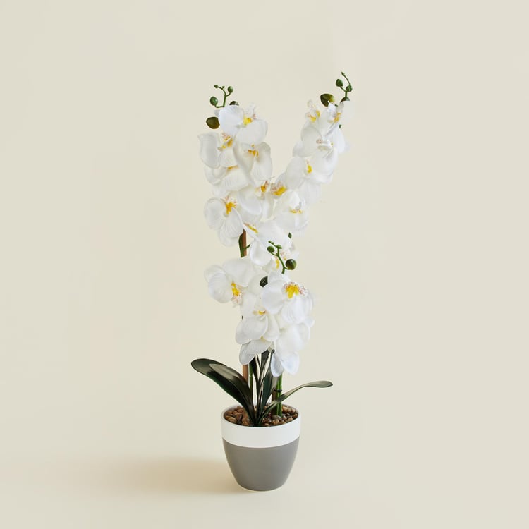 Gardenia Orchid Artificial Flower in Ceramic Pot