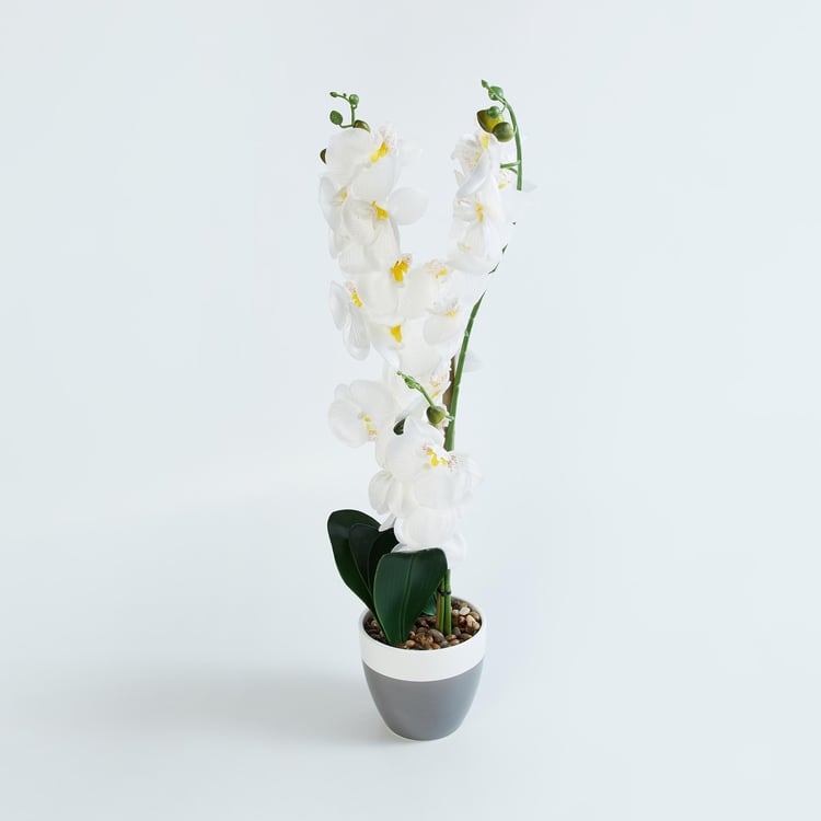 Gardenia Orchid Artificial Flower in Ceramic Pot