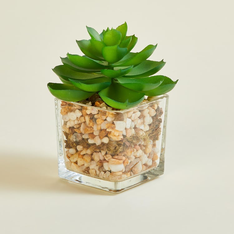 Gardenia Artificial Succulent in Glass Pot