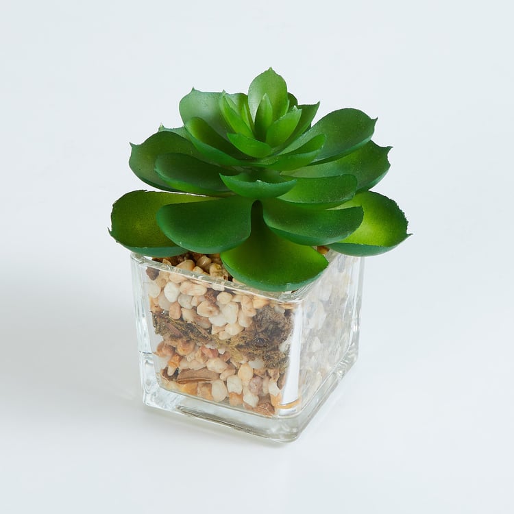 Gardenia Artificial Succulent in Glass Pot