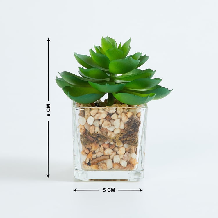 Gardenia Artificial Succulent in Glass Pot