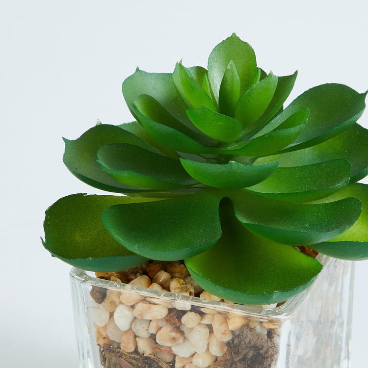 Gardenia Artificial Succulent in Glass Pot