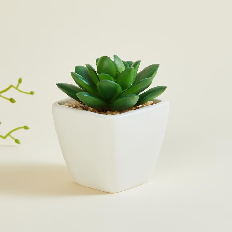 Gardenia Artificial Succulent in Ceramic Pot