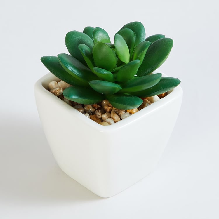 Gardenia Artificial Succulent in Ceramic Pot