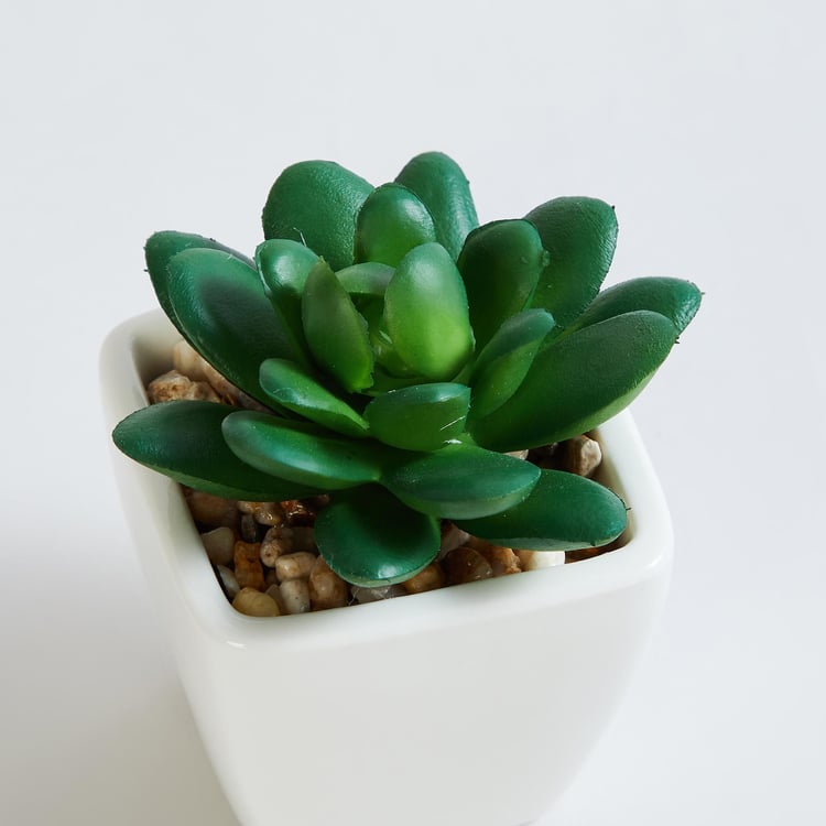 Gardenia Artificial Succulent in Ceramic Pot