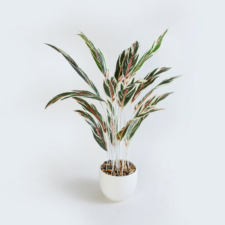Gardenia Dieffenbachia Artificial Plant in Ceramic Pot