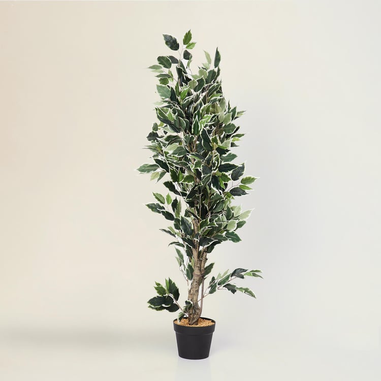 Twilight Ficus Artificial Plant in Pot