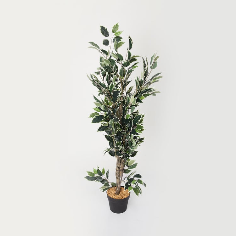 Twilight Ficus Artificial Plant in Pot