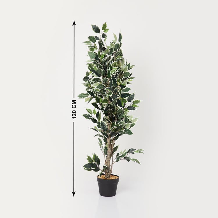 Twilight Ficus Artificial Plant in Pot