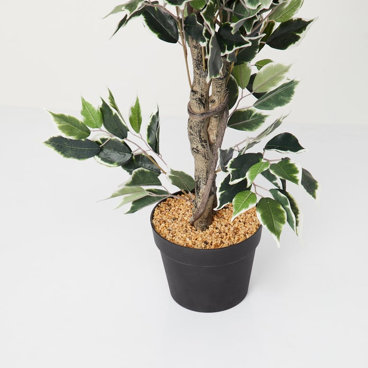 Twilight Ficus Artificial Plant in Pot