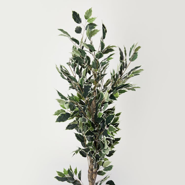 Twilight Ficus Artificial Plant in Pot