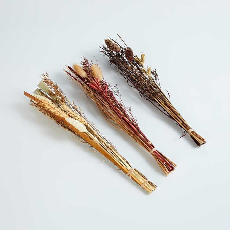 Spinel Dried Barn Potter Sticks