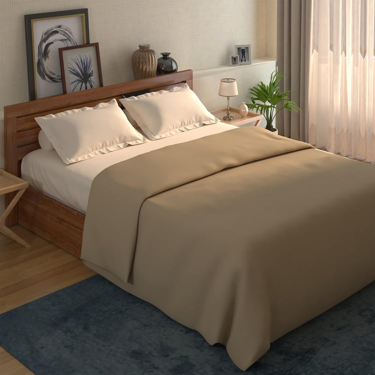 Cozy Classics Double Sherpa Blanket