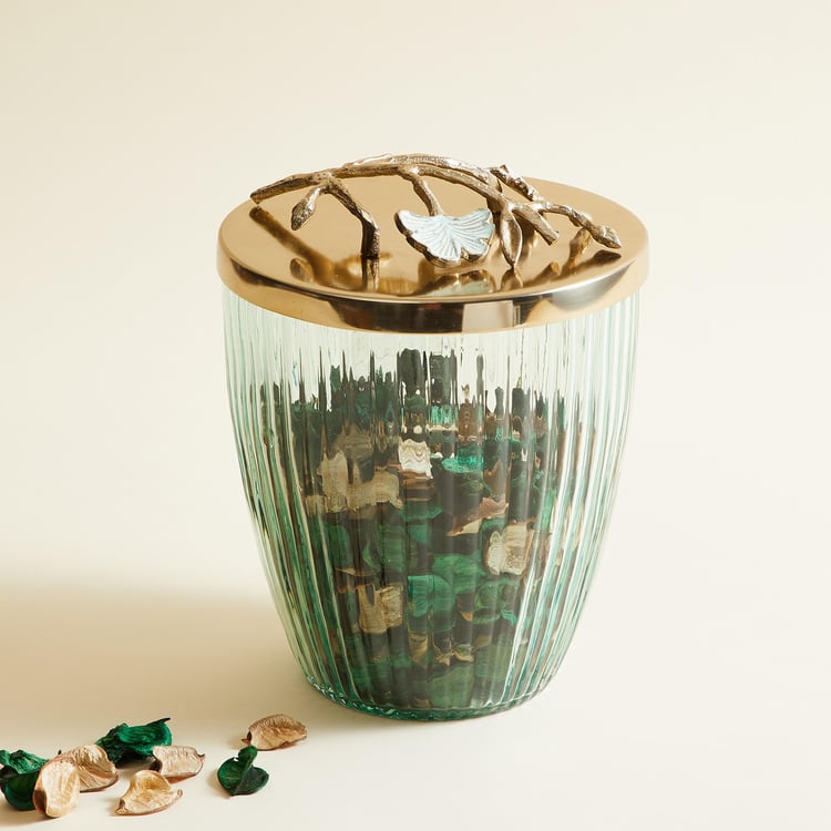 Splendid Modern Luxe Glass Canister