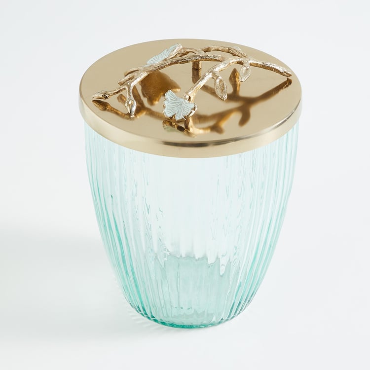 Splendid Modern Luxe Glass Canister