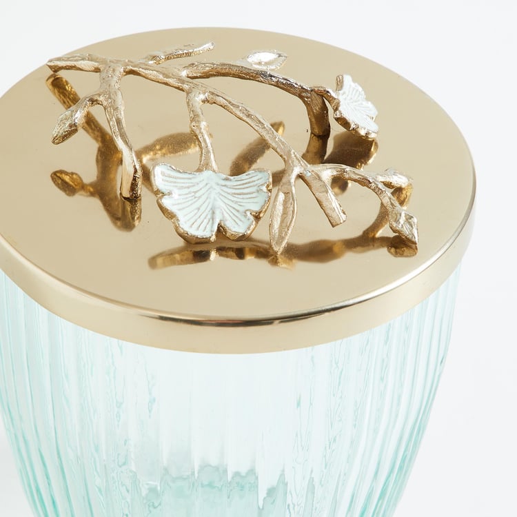 Splendid Modern Luxe Glass Canister